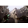 CENEGA Dishonored: Death of the Outsider - 376028 - zdjęcie 4